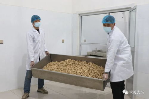 大城縣小微企業(yè)轉(zhuǎn)型初探 專(zhuān)注舌尖上的品質(zhì) 市場(chǎng)調(diào)研