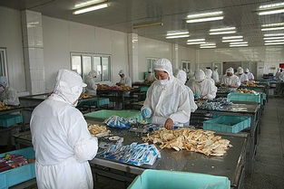 永泰縣水產生產主體調查摸底工作順利開展，助力市場精準調研