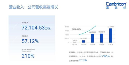 深耕行業客戶，寒武紀加速場景落地市場調研分析